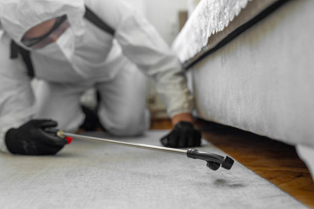 Professional Bed Bug Control technician working in Iowa Colony, TX