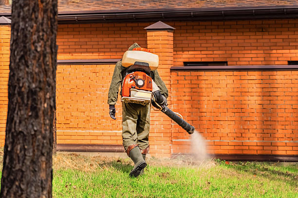 Trusted Termite Control service in Iowa Colony, TX - Nex Pest Control